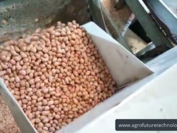 Groundnut Pre Clean and Counting Machine Bangalore